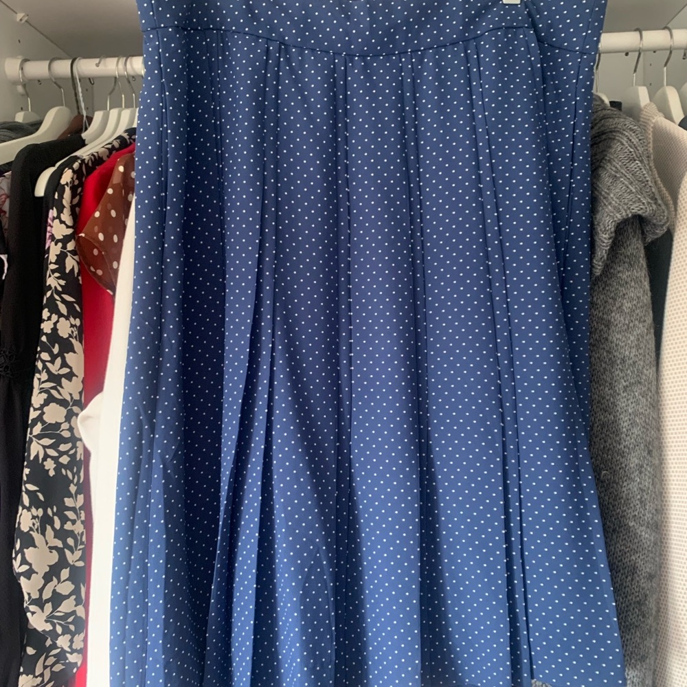 J Crew - Elegant Blue Polka Dot Skirt